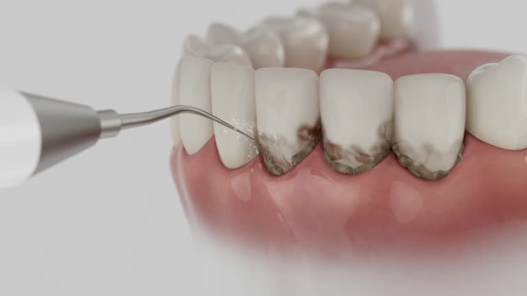 Reliable Dental contractor in Fairmont, IL by Dentist Open Now